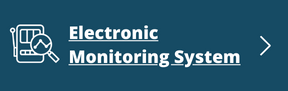 Electronic Monitoring System (link and button) Electronic Monitoring System (link and button)